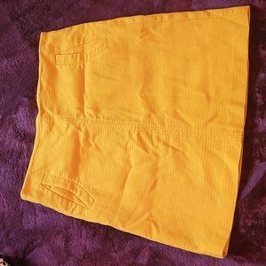 Ann Taylor skirt